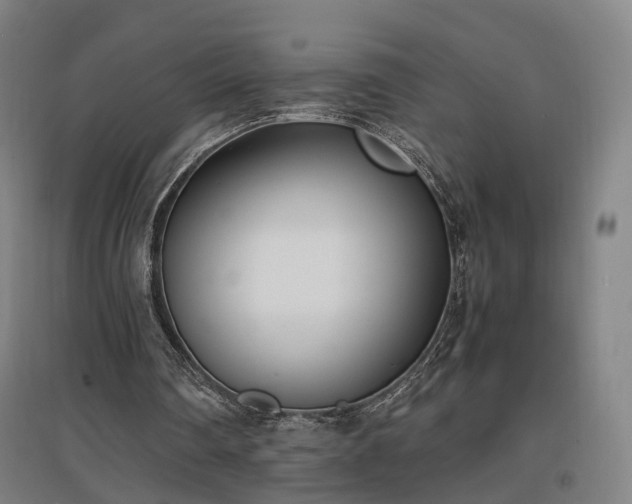 X0000096960290200802151242