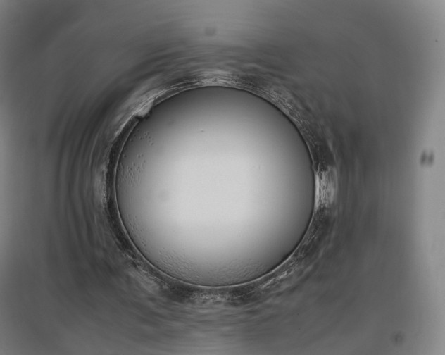 X0000096960291200802151242