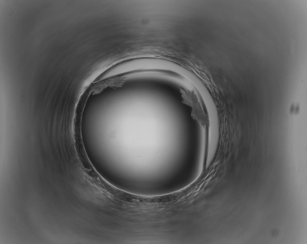 X0000096960292200802151242