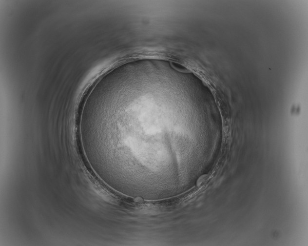 X0000096960293200802151242