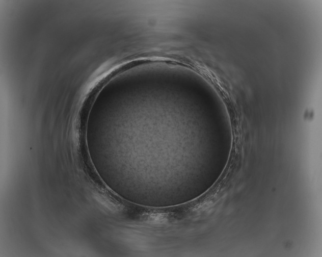 X0000096960295200802151242