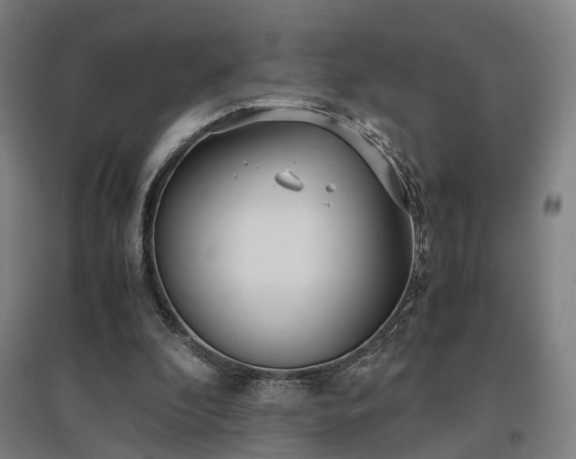 X0000096960296200802151242