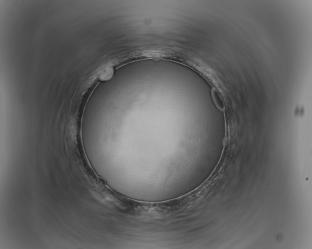 X0000096960297200802151242