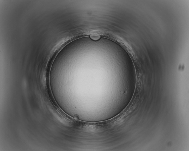 X0000096960298200802151242