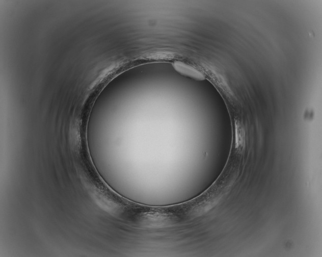 X0000096960300200802151242