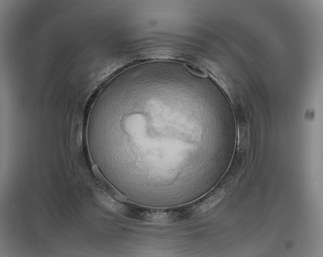 X0000096960301200802151242