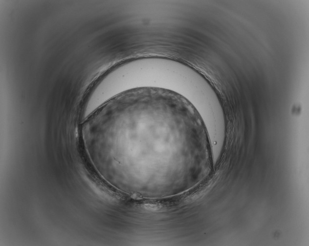 X0000096960302200802151242