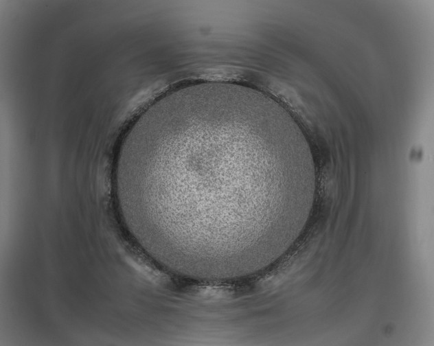 X0000096960303200802151242