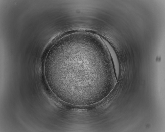 X0000096960304200802151242