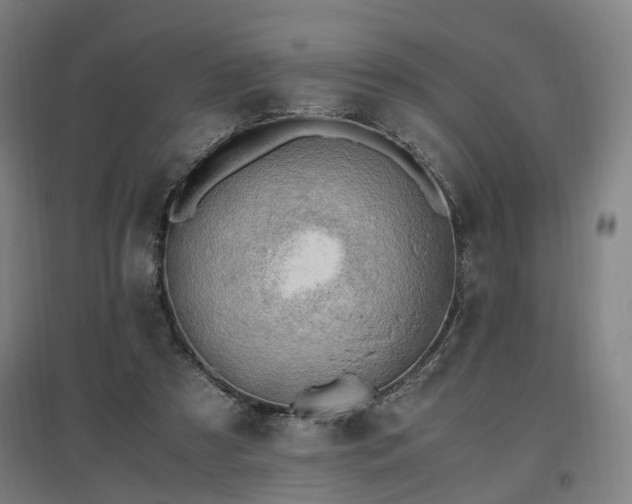 X0000096960305200802151242