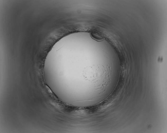 X0000096960307200802151242