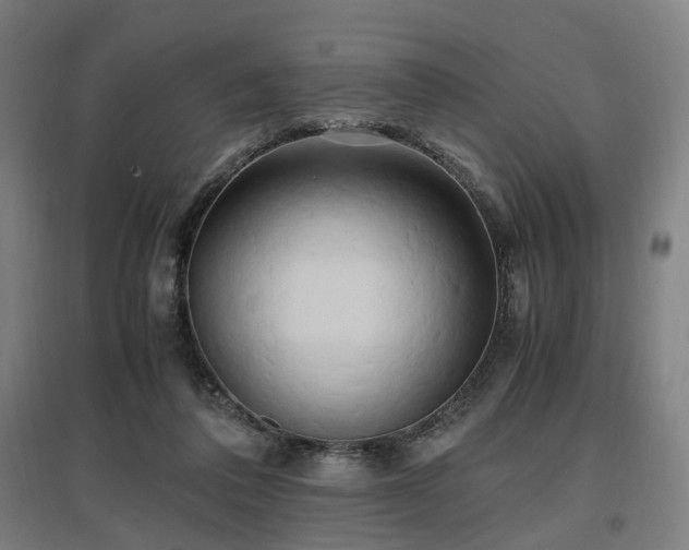 X0000096960308200802151242