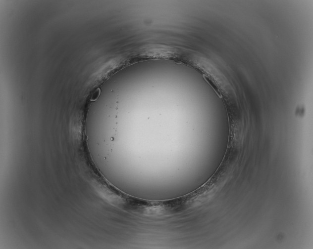 X0000096960309200802151242