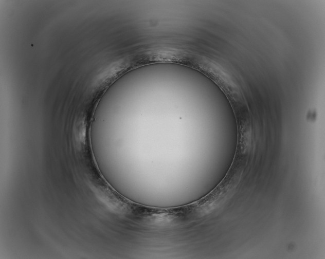 X0000096960310200802151242