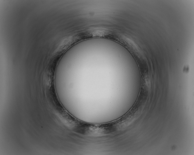 X0000096960311200802151242