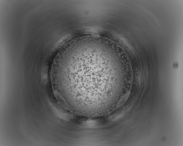 X0000096960312200802151242