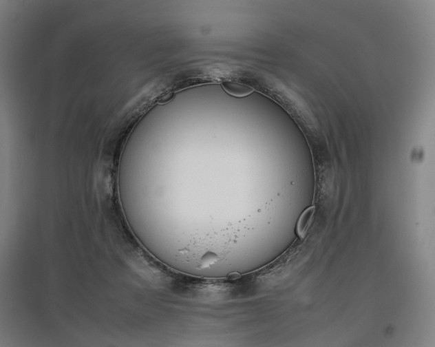 X0000096960313200802151242