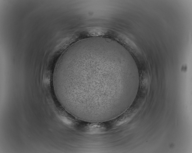 X0000096960315200802151242