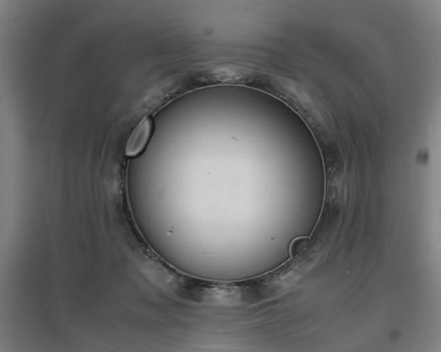 X0000096960317200802151242