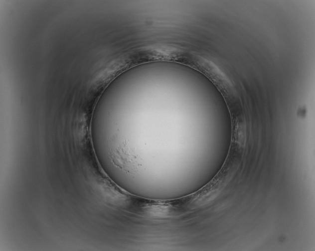 X0000096960318200802151242