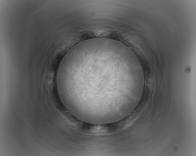 X0000096960319200802151242