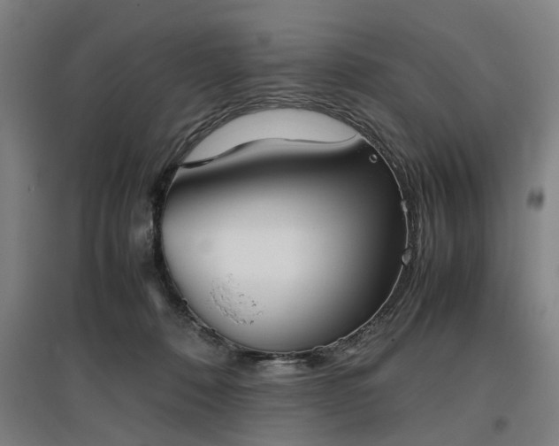 X0000096960320200802151242