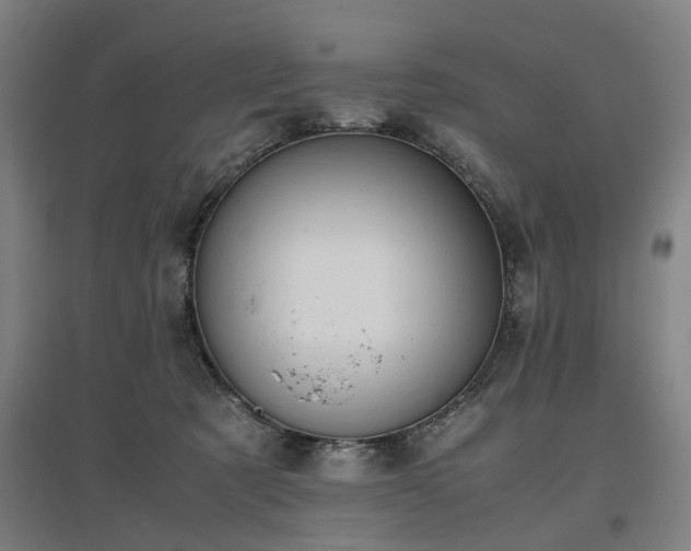 X0000096960321200802151242