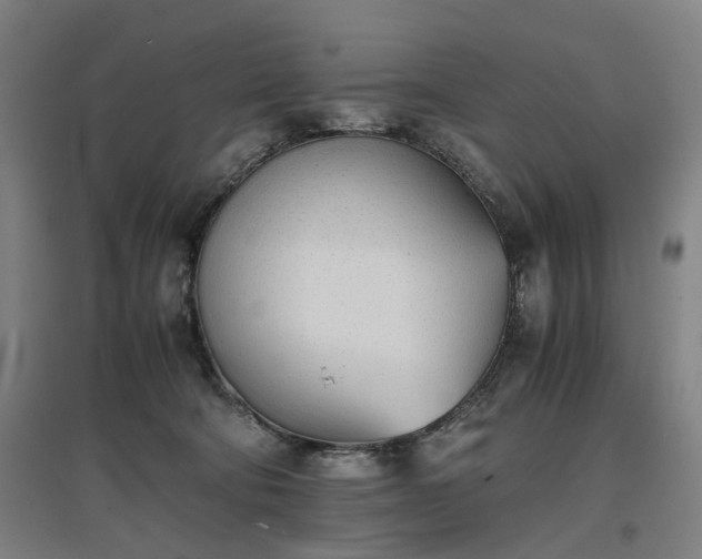 X0000096960322200802151241