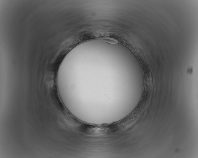 X0000096960323200802151241