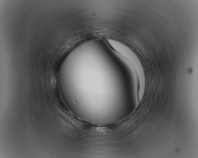 X0000096960324200802151241