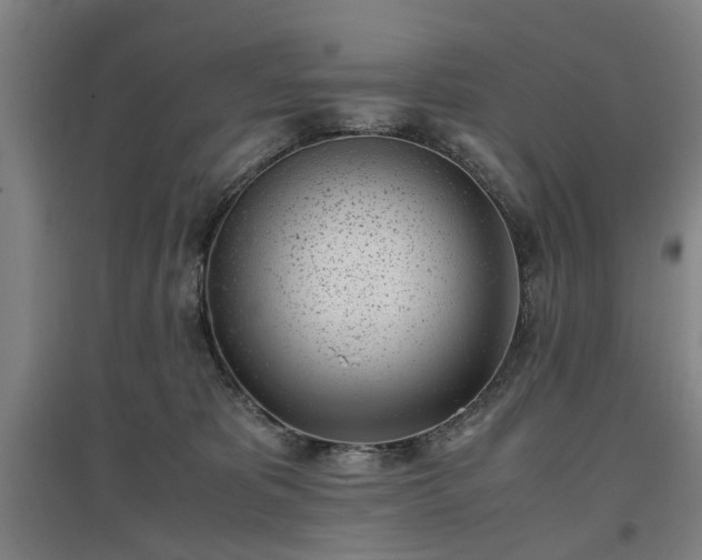 X0000096960325200802151241