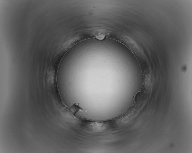 X0000096960326200802151241