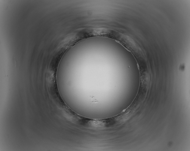 X0000096960327200802151241