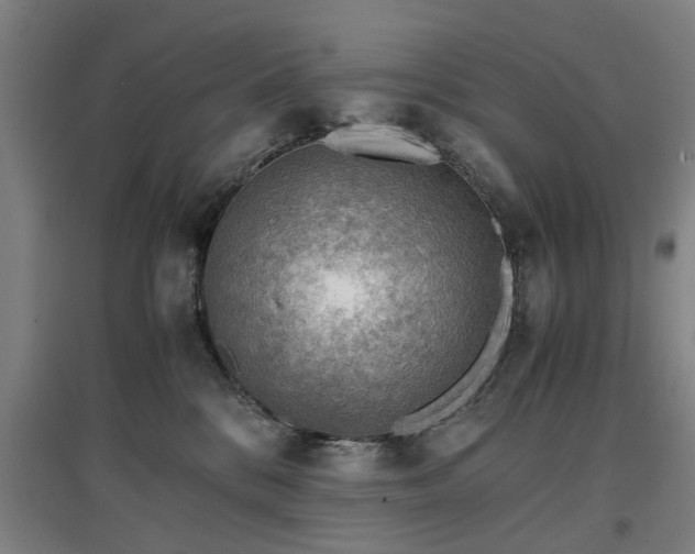 X0000096960328200802151241