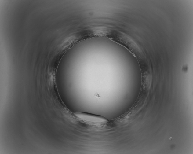 X0000096960329200802151241