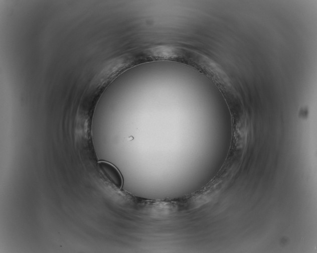 X0000096960330200802151241