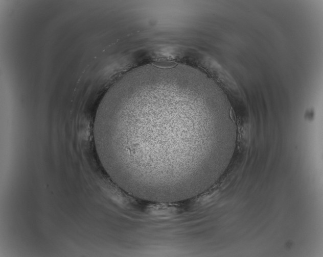 X0000096960331200802151241