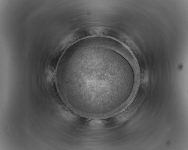 X0000096960332200802151241