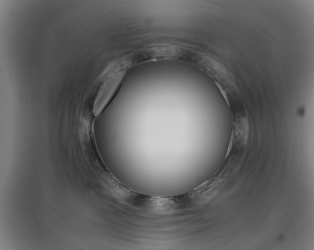 X0000096960333200802151241