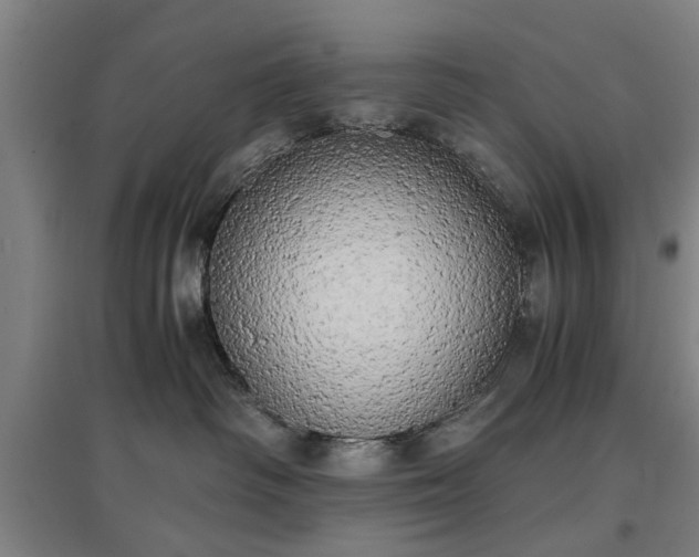 X0000096960334200802151241