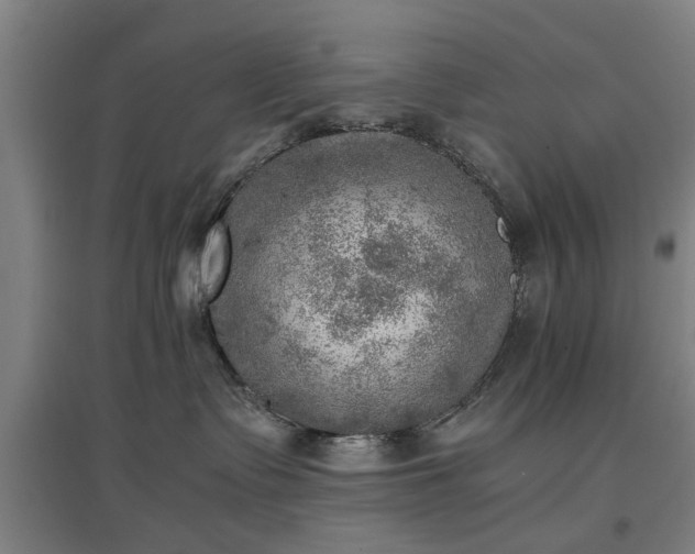 X0000096960335200802151241