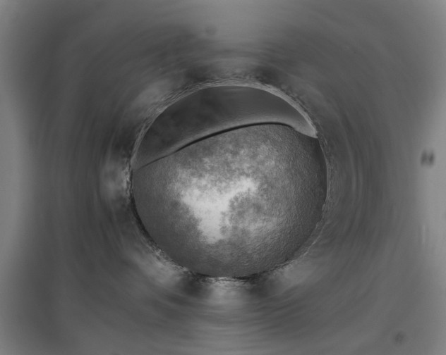 X0000096960336200802151241