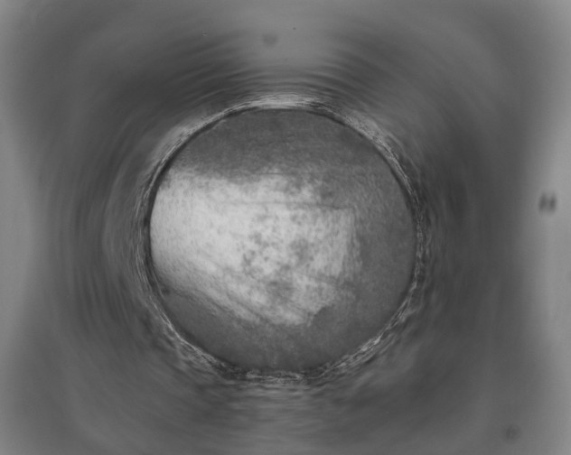 X0000096960337200802151241