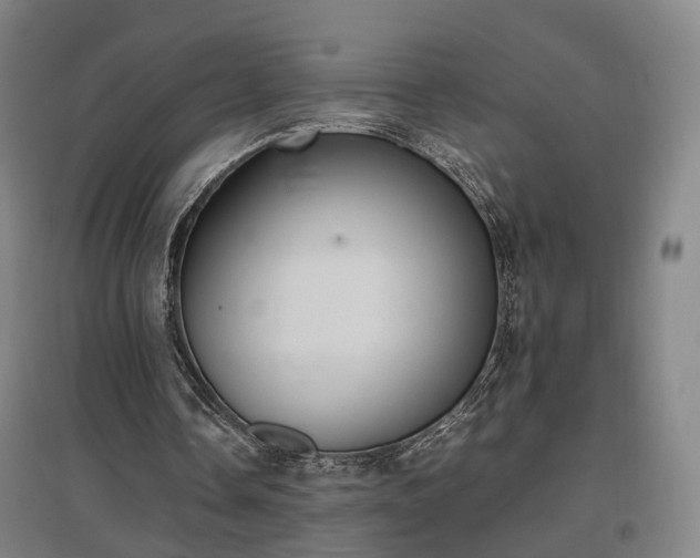 X0000096960338200802151241