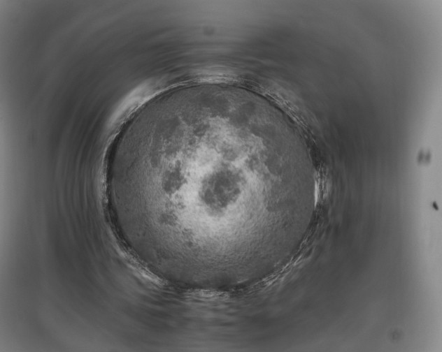 X0000096960339200802151241