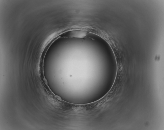 X0000096960340200802151241