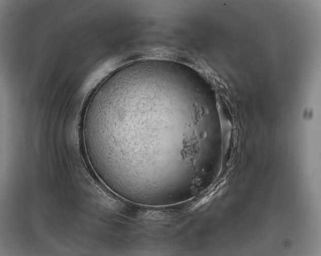 X0000096960341200802151241