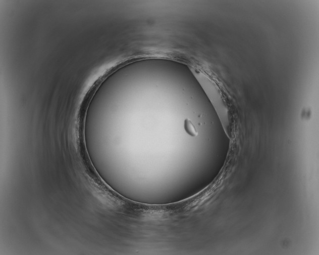 X0000096960342200802151241