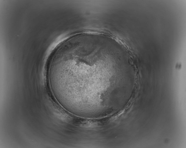 X0000096960343200802151241