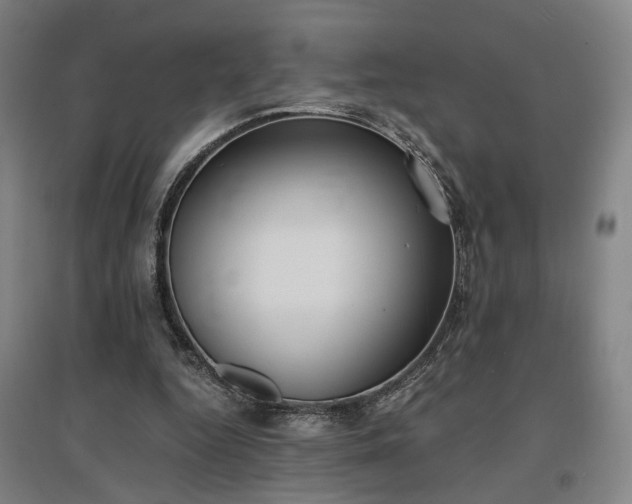 X0000096960344200802151241